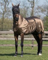 Eczema mask with ear protection