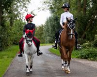 Riding whip Halloween