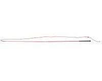 Lunging whip divisible