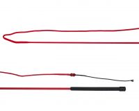 Lunging whip divisible