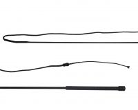 Lunging whip divisible