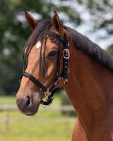 Anti-fly fringe Knotted