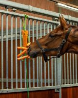 Horse toy with haynet