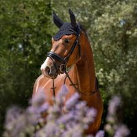 Ear net Flore soundless