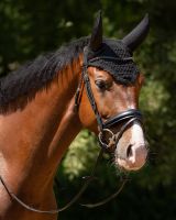 Ear net Flore soundless