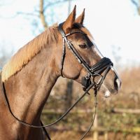 Noseband pad Air Mesh