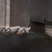 Mane comb with clip