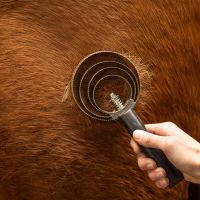 Shedding blade spiral