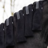 Mane protector (4-pack)