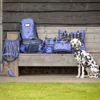 Dog collar with bandana collection