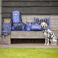 Dog collar with bandana collection