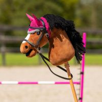 Hobby horse