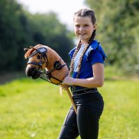 Hobby horse