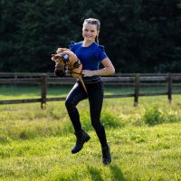 Hobby horse