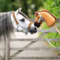 Hobby horse