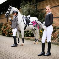 Hobby horse