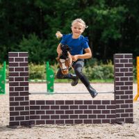 Bitless bridle Hobby horse