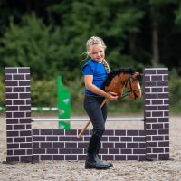 Bitless bridle Hobby horse