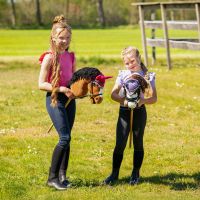 Ear net Hobby horse