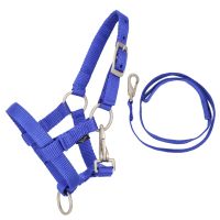Head collar set Hobby horse
