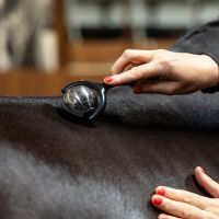 Horse Massage Roller