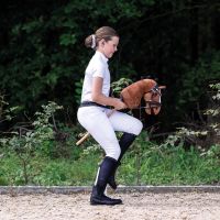 Bridle Sunset Hobby horse