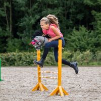 Bridle Sunset Hobby horse