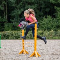 Bridle Sunset Hobby horse