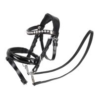 Bridle Sunset Hobby horse