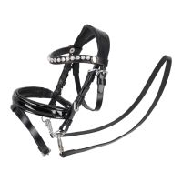 Bridle Sunset Hobby horse