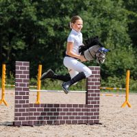 Bridle luxury stitched Hobby horse