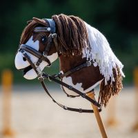 Martingale Hobby horse