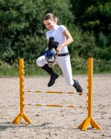 Martingale Hobby horse