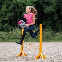 Martingale Hobby horse