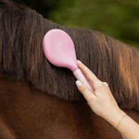 Mane and tail comb Lyvia