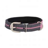 Dog collar collection