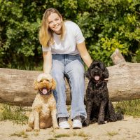 Dog collar collection