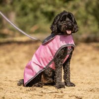 Dog harness collection