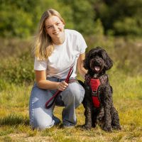 Dog leash collection