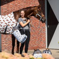 Boot bag Stable buddy