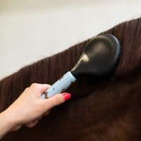 Grooming set Stable buddy