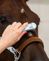 Grooming set Stable buddy