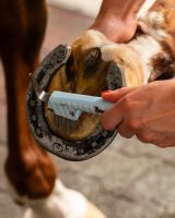 Grooming set Stable buddy