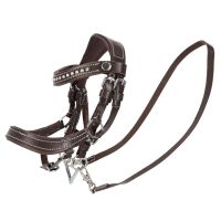Bridle Dolly Hobby horse