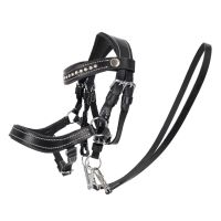 Bridle Dolly Hobby horse