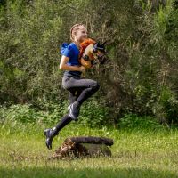 Ear net Jump Hobby horse