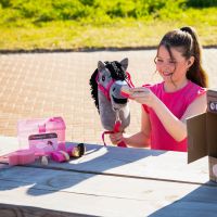 Grooming box Hobby Horse