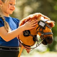 Number holder oval Hobby horse