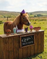 Horse toy Snackcounter