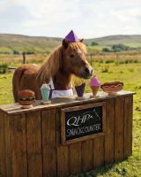 Horse toy Snackcounter